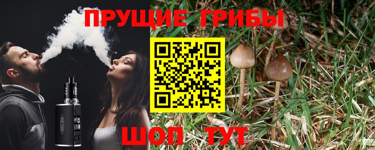 Волгоград  Псилоцибиновые грибы прущие грибы  Вход с VPN 